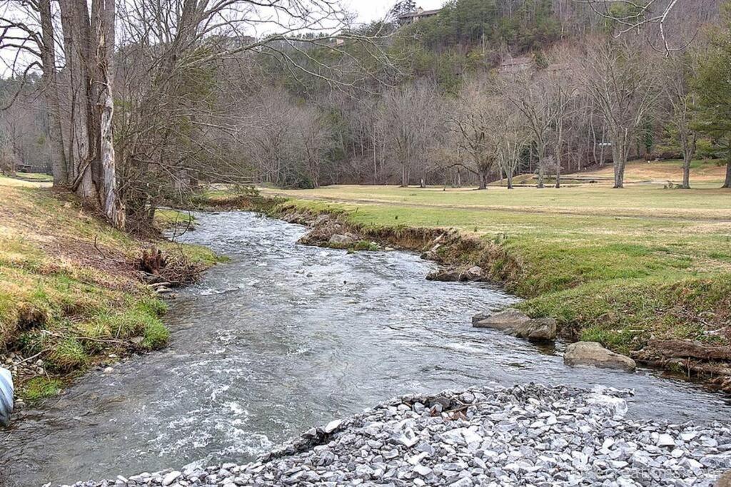 Bear Necessities, Luxury 5Bd Mtn Views, Hot Tub, Many Bear Sightings Vila Gatlinburg Exterior foto