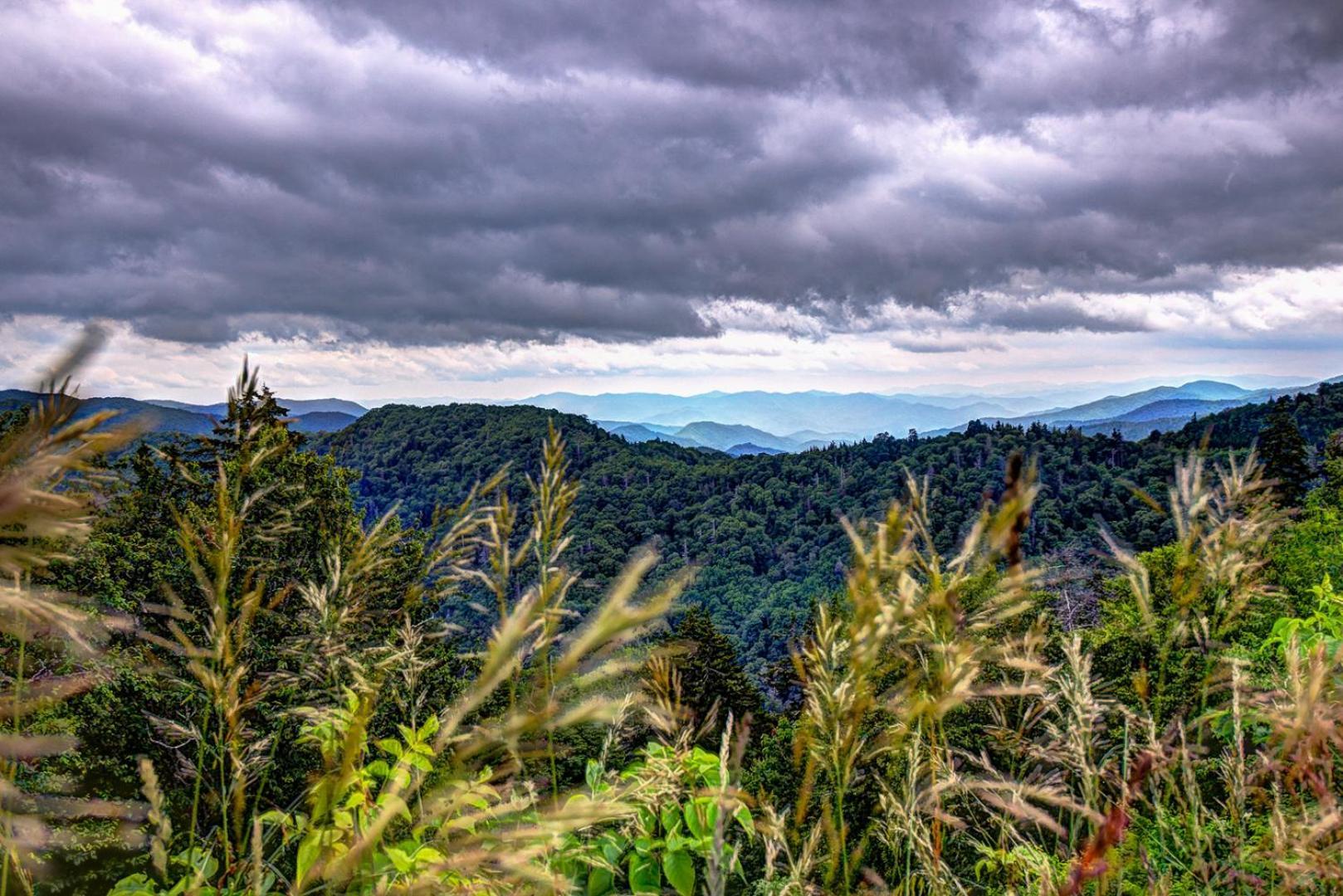 Bear Necessities, Luxury 5Bd Mtn Views, Hot Tub, Many Bear Sightings Vila Gatlinburg Exterior foto