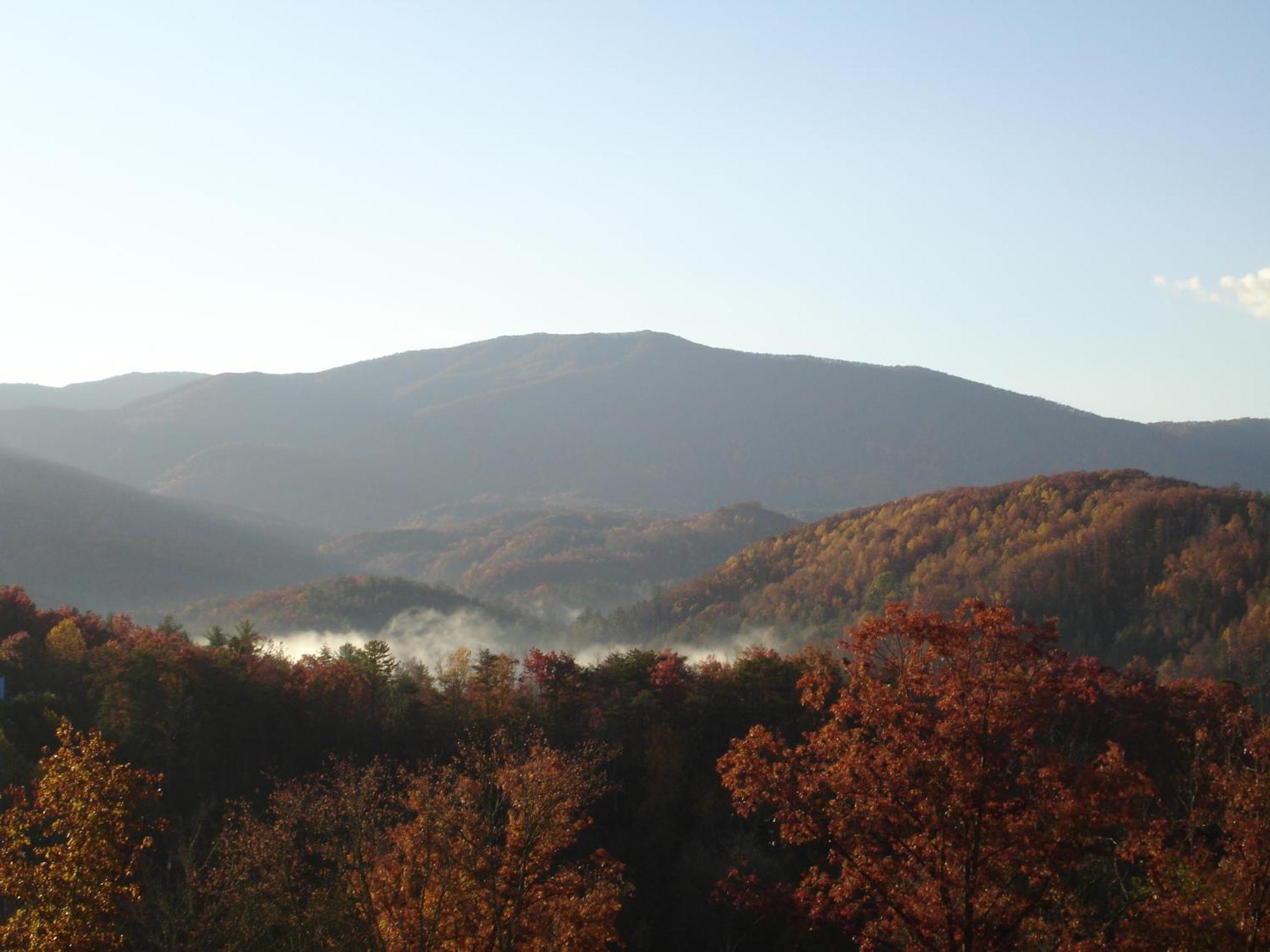 Bear Necessities, Luxury 5Bd Mtn Views, Hot Tub, Many Bear Sightings Vila Gatlinburg Exterior foto