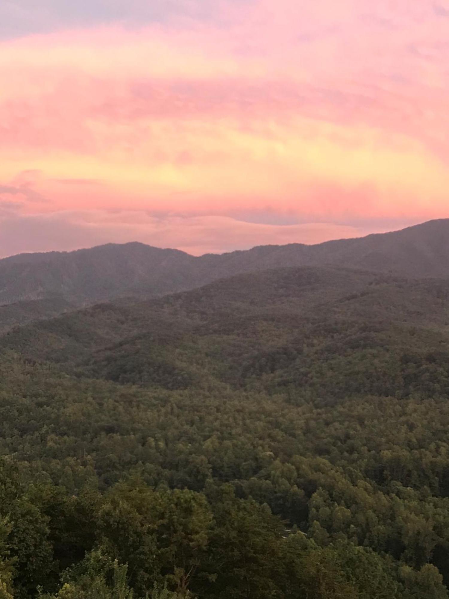 Bear Necessities, Luxury 5Bd Mtn Views, Hot Tub, Many Bear Sightings Vila Gatlinburg Exterior foto