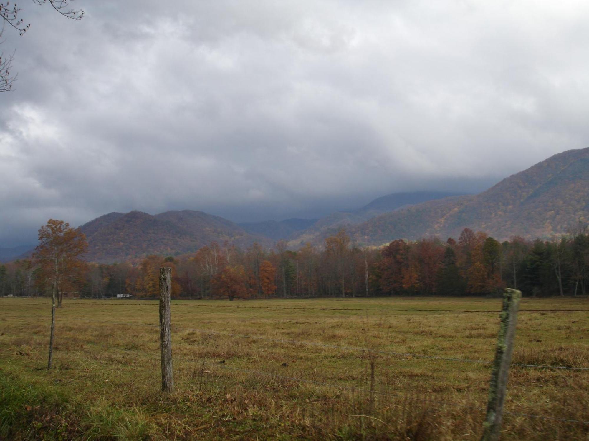 Bear Necessities, Luxury 5Bd Mtn Views, Hot Tub, Many Bear Sightings Vila Gatlinburg Exterior foto