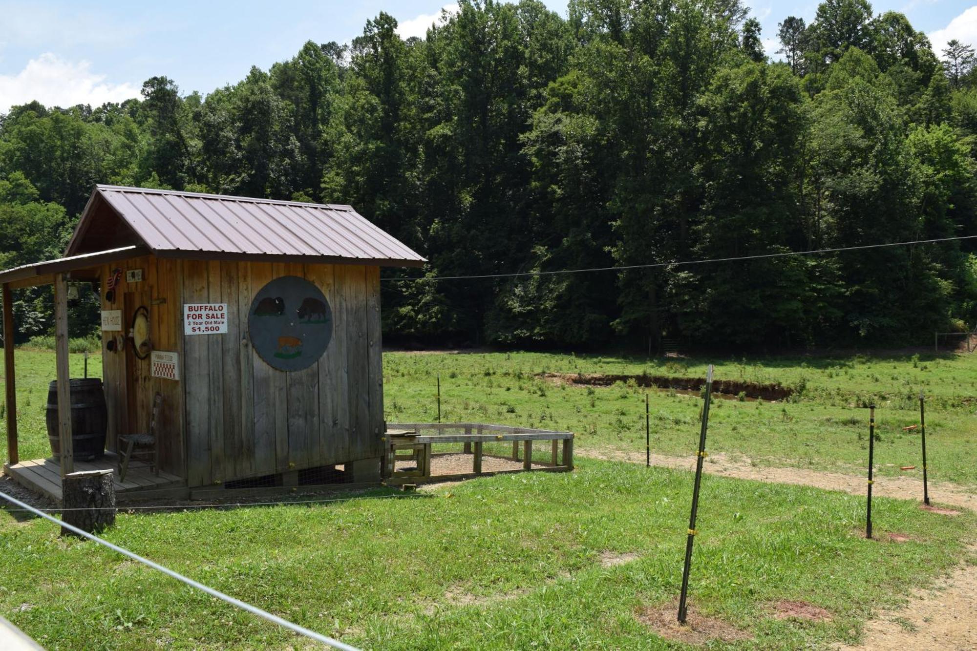 Bear Necessities, Luxury 5Bd Mtn Views, Hot Tub, Many Bear Sightings Vila Gatlinburg Exterior foto